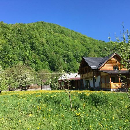 Casa Nova Villa Vişeu de Sus Buitenkant foto